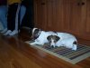 100_0086.jpg