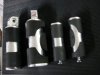 Picture 007a.jpg