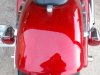 2004 PITBULL 005.jpg