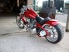 2004 PITBULL 003.jpg