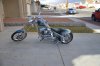 Ridgeback 028.jpg