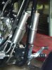 Iphone pictures 1721.jpg