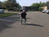 F42439F8-D79C-44BA-84CD-C784A3D77E5E.jpeg