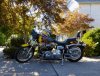 vernonia_072614a.jpg