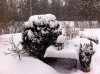20130321.jpg