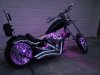 DSC01174.jpg