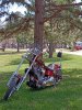 IMG_20220423_122745.jpg
