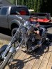 IMG_7035.jpeg