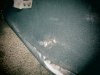 IMG_4209.JPG IMG_4209.JPG