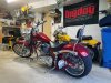 Big Dog in Garage.JPEG