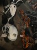 IMG_2283.jpeg