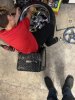 IMG_2302.jpeg