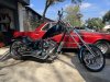 IMG_2366.jpeg