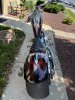 IMG_3331.jpeg