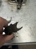 IMG_3792.jpeg