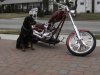 Two_Dogs.jpg
