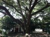 Iphone pictures 5231.jpg
