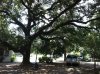 Iphone pictures 5232.jpg