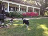 Iphone pictures 5769.jpg