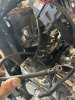 IMG_1773.jpeg