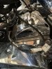 IMG_1779.jpeg