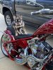IMG_4240.jpeg