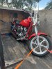 IMG_3374.jpeg