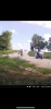 IMG_8913.png