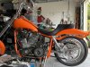 IMG_1080.jpeg