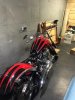 IMG_20250226_233439_591.jpg
