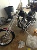 Iphone pictures 5899.jpg