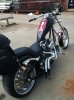 Iphone pictures 5787.jpg