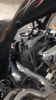 Iphone pictures 6091.png