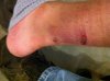 IMG_2113.jpg