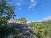 IMG_0281.jpeg