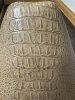 IMG_6105.jpeg