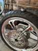 IMG_2239.jpeg