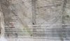 IMG_3685.jpeg