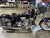 IMG_5674.jpeg