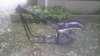 IMAG0651-2116562595.jpg