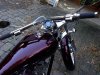 IMG_0684.jpg