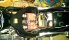 IMAG0518.jpg