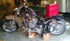 IMAG0489.jpg