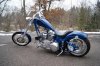 DSC00195.jpg