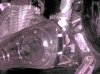 IMG_0816.jpg