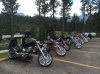 IMG_0205.jpg