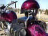 DSCF3093.jpg