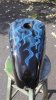 DSC08344 (Medium).JPG