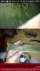 Screenshot_2014-11-06-14-13-44.png