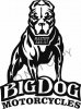 Mastiff 2.jpg